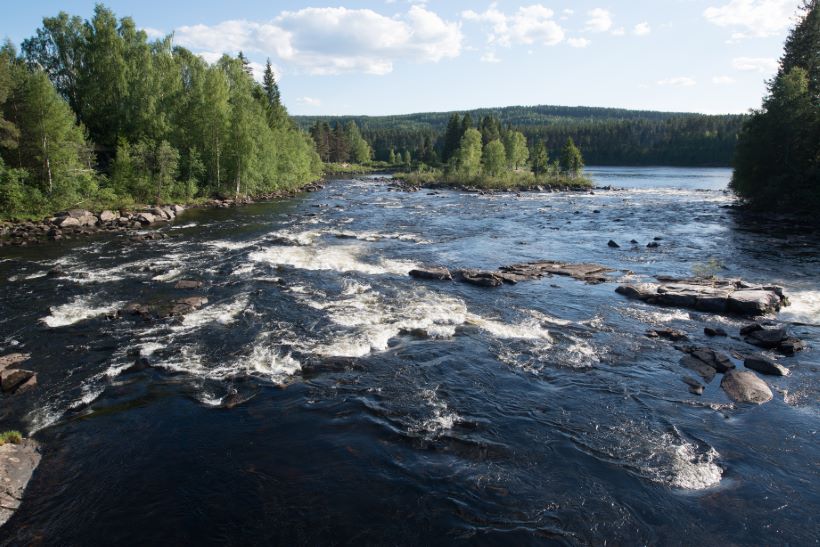 cabinetmaker Elverum