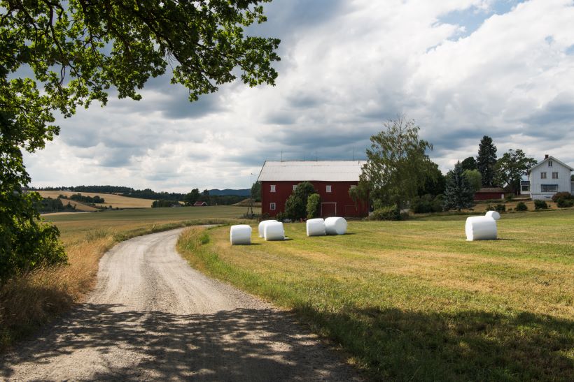 møbelsnekker Hamar
